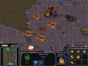 terran.jpg (41768 octets)